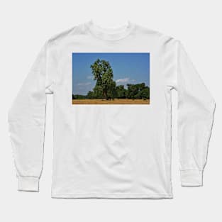 Colorful Kansas Summer pasture Long Sleeve T-Shirt